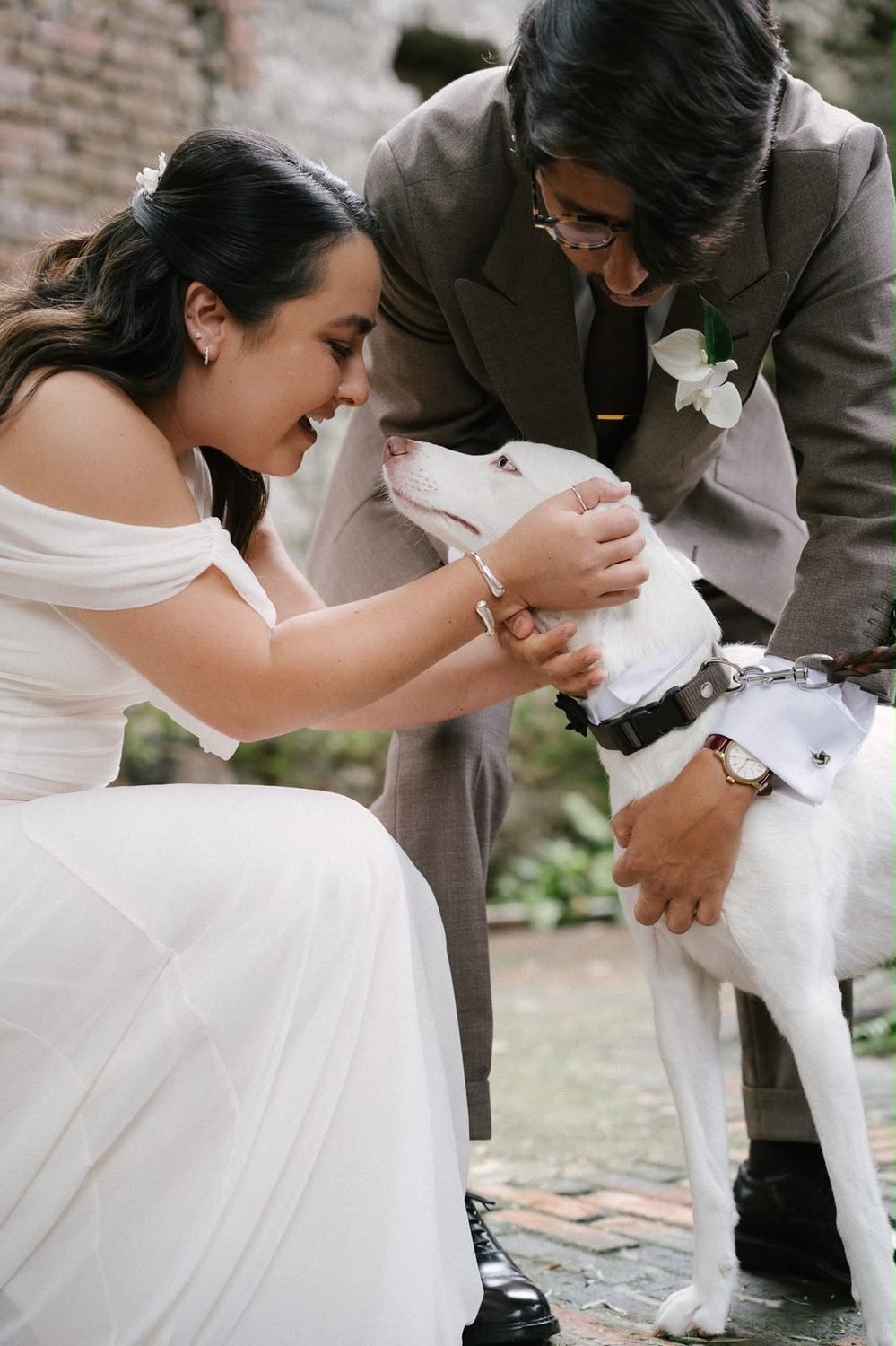 Novios acariciando a su perro blanco el día de su boda